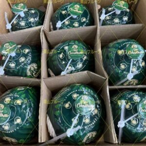 越南産椰子汁  一箱9個入 約8kg