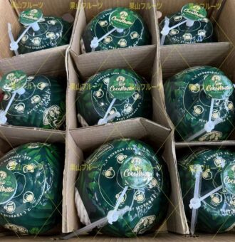 图片_20260410052703