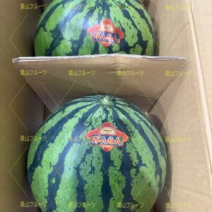 熊本産大西瓜 優秀 M 一箱2個入 約10kg