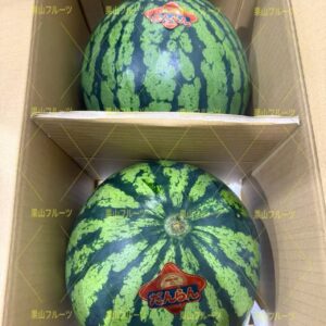 熊本産大西瓜 優秀 L 一箱2個入 約11kg
