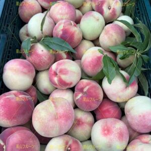 山梨産なっっこ硬桃 一箱約5kg