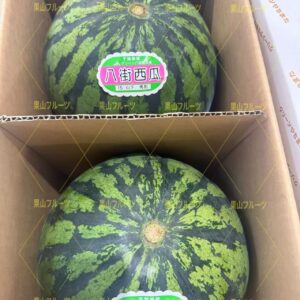 千葉産八街大西瓜 AB 2L号 一箱2個入 約14kg