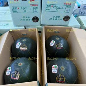 千葉産黑皮少種大西瓜 AB品 5L号 一箱2個入 約20kg