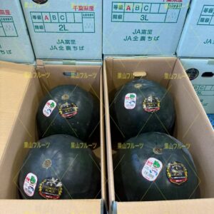 千葉産黑皮少種大西瓜 AB品 3L号 一箱2個入 約16kg