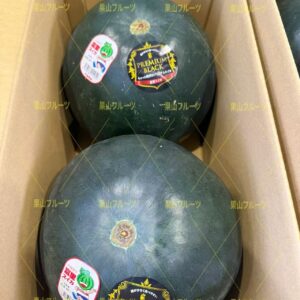 千葉産黑皮少種大西瓜 AB品 2L号 一箱2個入 約14kg