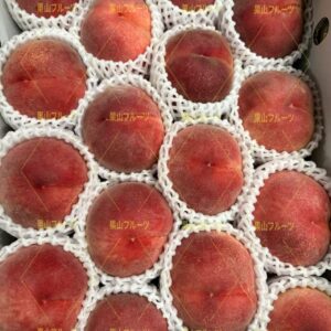 山梨産なつっこ桃 半箱6～10個入 約2.5kg