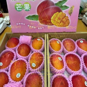台湾産船運芒果 一箱8~14個入 約5kg