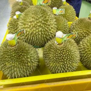 馬來西亞産D200黑刺榴莲 (鮮果) 半箱3-4個入 約5kg