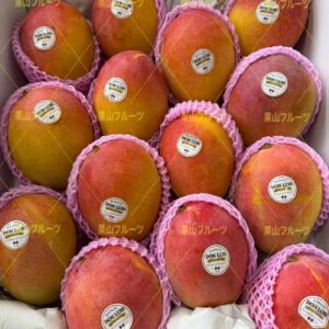 墨西哥産 空运芒果 半箱7個入 約2.7kg