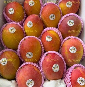 图片_20260427150032