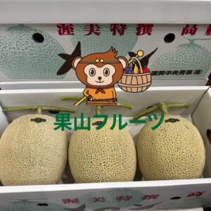 茨城.爱知産 高級ア-ルス哈密瓜 一箱3個入 約6kg