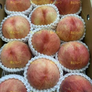 福島.山形産おどるき硬桃 半箱5～9個入 約2.2kg