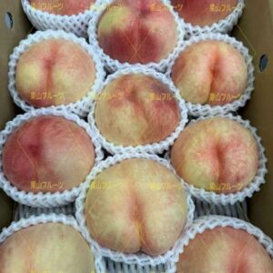 福島.山形産おどるき硬桃 一箱9～18個入 約4.5kg