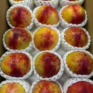 山梨産秀峰油桃 半箱6〜10個入 約2.5kg