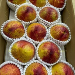 山梨産秀峰油桃 一箱13〜20個入 約5kg