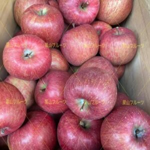 青森産ふじ苹果 散裝一箱 約10kg