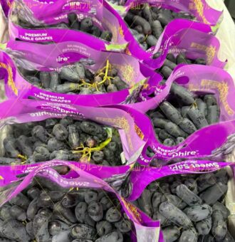 图片_20260410050933