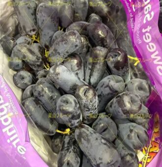 图片_20260410050945