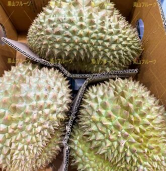 图片_20260416161232