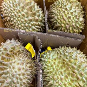 泰国産金枕榴莲 一個約2kg