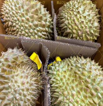 图片_20260416161235