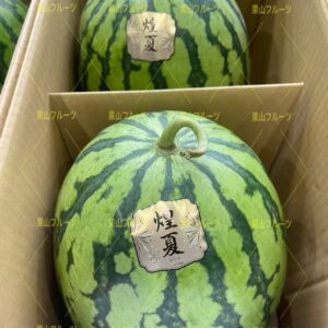 熊本産大西瓜 秀L 一箱2個入 約12kg