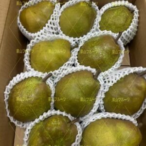 山形産ラ.フランス洋梨 一箱8〜16個入 約5kg