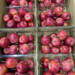長野産沙果 一盒500g  一箱16盒入