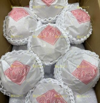 图片_20260128115641