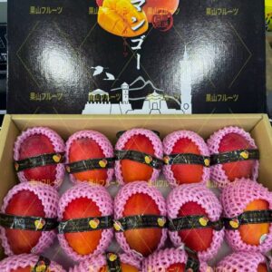 台湾産空運芒果 一箱14~16個入 約5kg