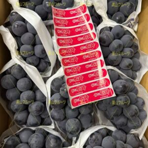 福岡産無籽巨峰葡萄 一箱10~11房入 約5kg