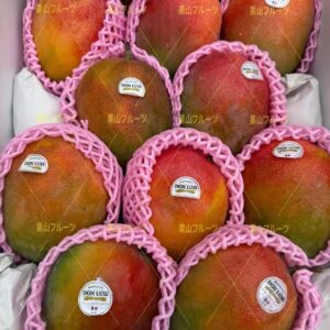 墨西哥産空運芒果 一箱10-14個入 約6kg