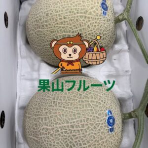 茨城.爱知産 高級ア-ルス哈密瓜 一箱2個入 約4kg