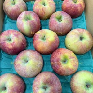 長野産シナノリップ大苹果 半箱10〜13個入 約5kg