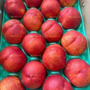 長野.山梨産油桃 一箱13〜20個入 約5kg