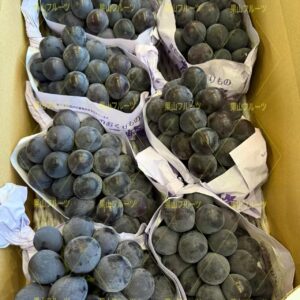 長野産無籽巨峰葡萄 一箱6~9房入約4kg