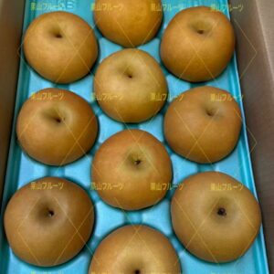 長野産南水梨 (高糖度) 一箱10〜14個入 約5kg
