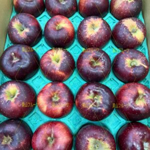 長野産 秋映苹果 半箱18〜23個入 約5kg